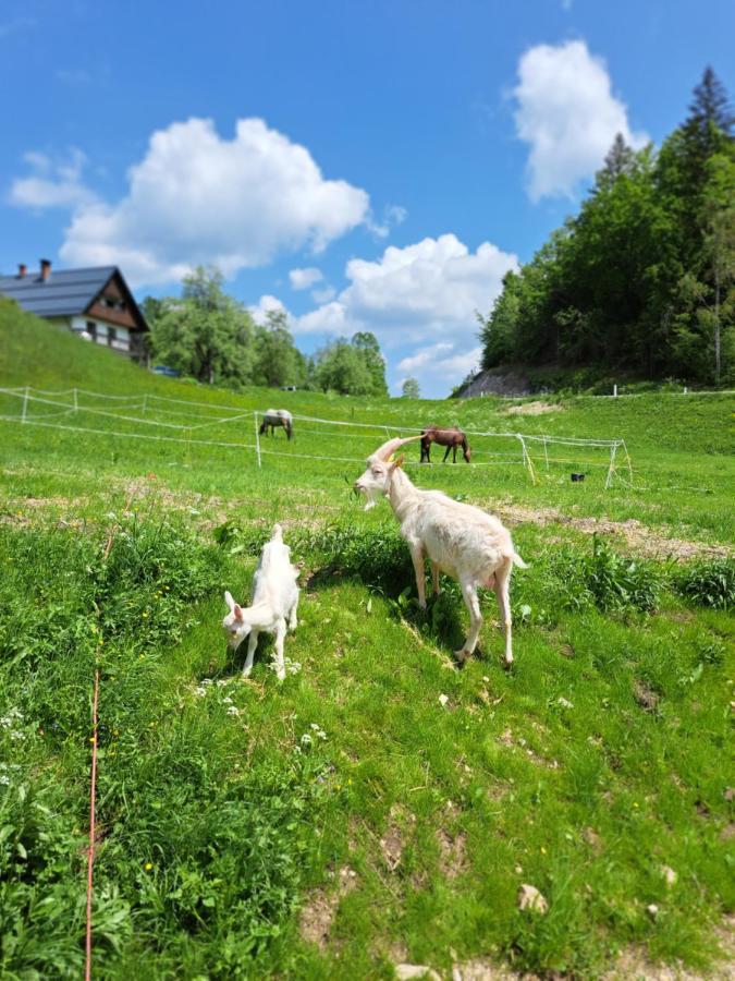 Tourist Farm Pr' Maretc Apartamento Bohinjska Bistrica Exterior foto